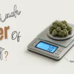 How Much the Quarter of Weed Cost?