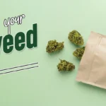 How to Make Your Own Weed Bags? Detailed Guide